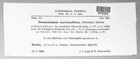 Doassansiopsis hydrophila image